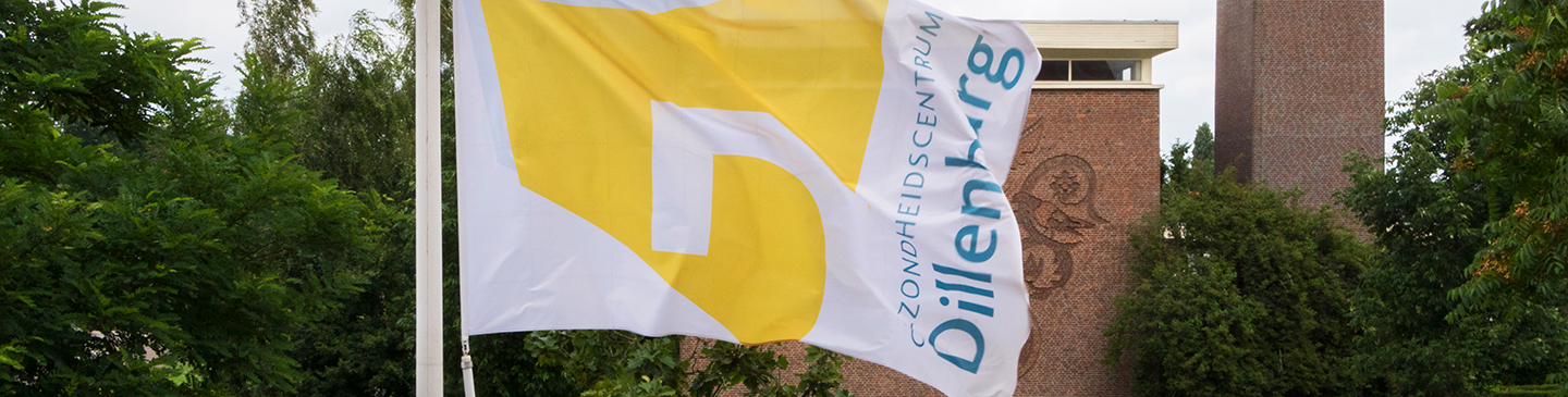 Header vlag