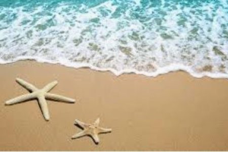 profielfoto E-consult in de vakantie periode