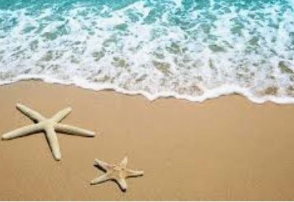 Zomer