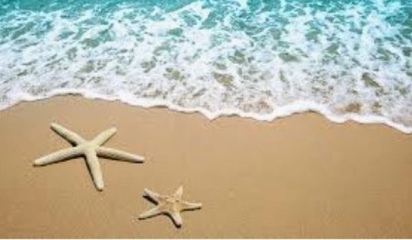 Zomer